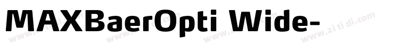 MAXBaerOpti Wide字体转换